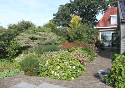 grote terras Kolderveen 