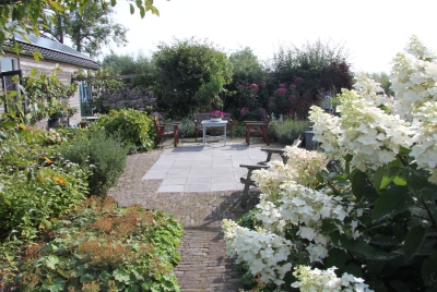 Terras met hortensia Kolderveen