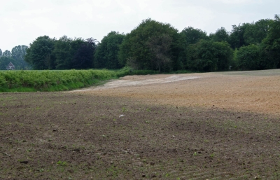 Natuurbouw op de natuurbegraafplaats Slangenburg juni 2012