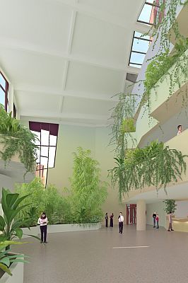 Impressie van de subtropische binnenbeplanting van het Isala ziekenhuis, hangend over meerdere etages.