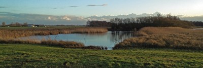 Sfeer natuurbegraafplaats Geestmerloo te Alkmaar