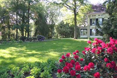 De tuin na de tuinrenovatie van villa Rijnoord.