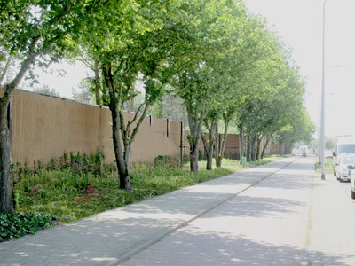 De straatzijde is voorzien van een golvend aangebracht geluid en zichtscherm, met daarvoor een fraaie beplanting.