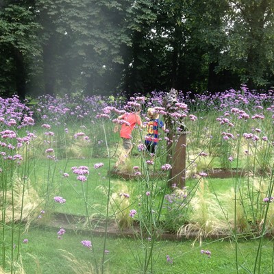 Foto beschikbaar gesteld door Tuin de Lage Oorsprong